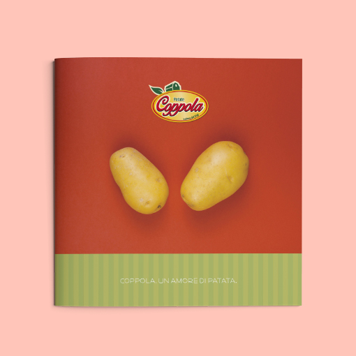 Progetto grafico brochure catalogo patate coppola benevento