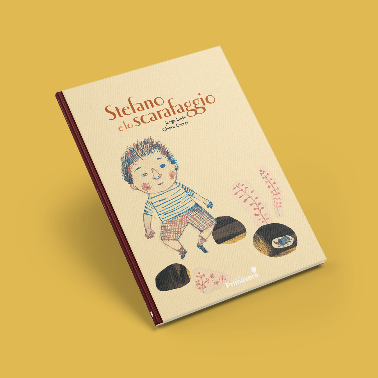 progettazione grafica-libro illustrazioni stefano e lo scarafaggio edizioni primavera editrice scarafaggio