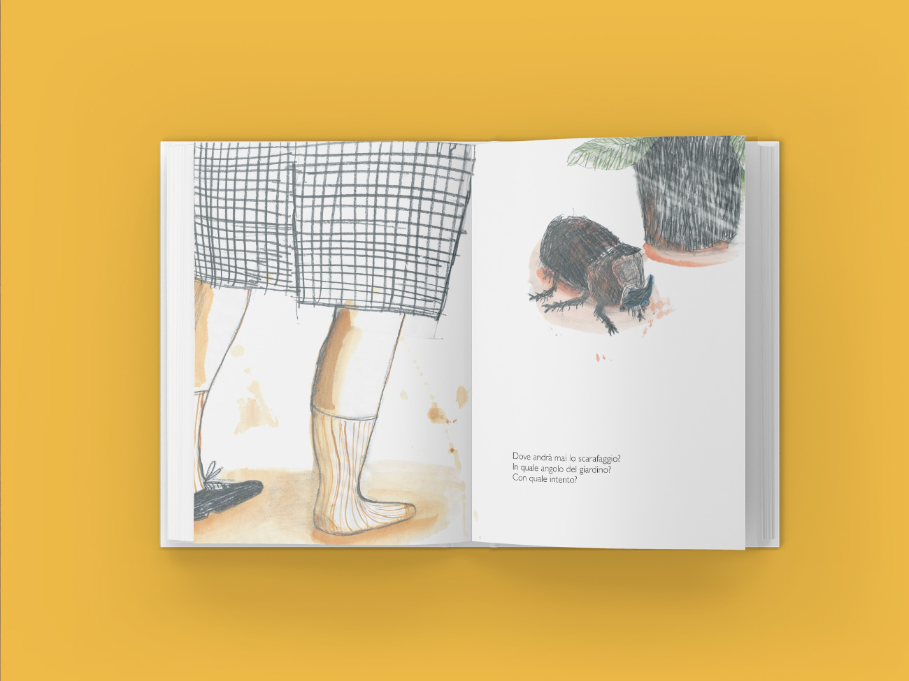 progettazione grafica-libro illustrazioni stefano e lo scarafaggio edizioni primavera editrice scarafaggio